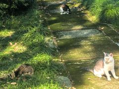 -蠡湖中央公园