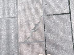 -Club Queen皇后酒吧