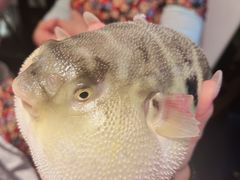 -永安鱼庄·镇江菜(东吴路店)