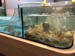 水产区-日进一片海.生腌海鲜火锅.宵夜烧烤(三里屯总店)