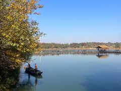 -溱湖国家湿地公园