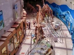 -陕西自然博物馆