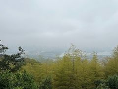-紫金山山顶公园
