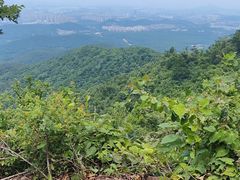 -紫金山索道-售票处