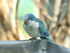 -济南野生动物世界