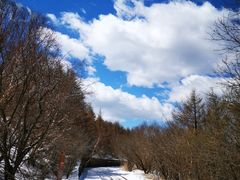 -白草畔自然风景区