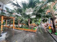 -陆地游轮吉林神农温泉