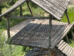 -青藏高原野生动物园