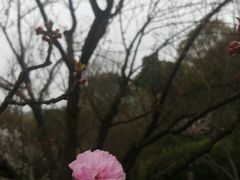 -南山植物园