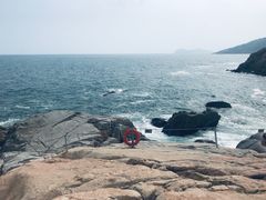 -广东惠东海龟国家级自然保护区