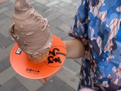 -野人先生现做冰淇淋(北京顺义祥云小镇店)