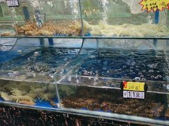 -绿雅居原生态农庄(小涌店)