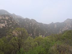 -大岭沟猕猴桃谷风景区