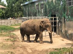 -西安秦岭野生动物园