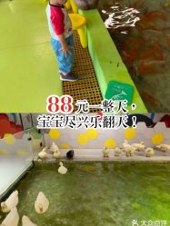 -七巧国萌宠乐园(龙湖天街店)