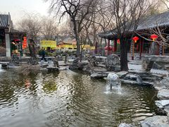 -白家大院·王府宫廷菜(苏州街店)