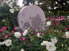 -人民公园(罗湖区)