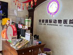 -宠爱国际动物医院·疑难骨科·心肾内科·皮肤科(太阳宫店)