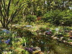 -上海共青森林公园