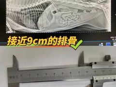 -科道动物医院·急重症中心(万达院)