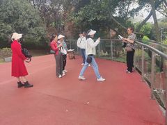 -铁山坪森林公园