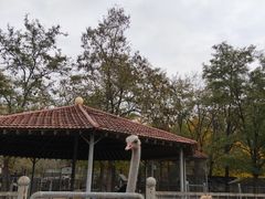 -意大利农场度假村