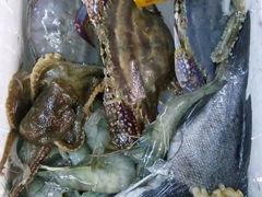 -顺德小院私房菜馆