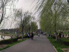 -天津东丽湖风景区