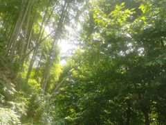 -南山风景名胜区