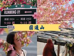 -热火朝天鲜切牛肉火锅(南强街巷店)