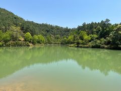 -广州白江湖森林公园