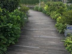 -活水公园
