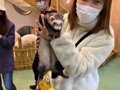 -藦茜花园宠物主题亲子互动体验馆(国顺东路店)