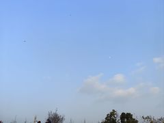 -两河城市森林公园