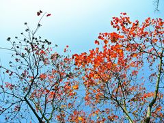 调色后。。。-上海怡沁园度假酒店