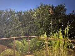 -碧桂园润杨溪谷温泉酒店