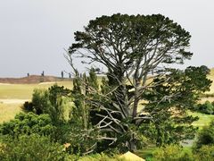 -霍比特人村