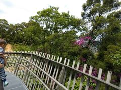 -梅峰山地公园