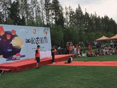 -前小桔亲子创意农场·草莓采摘·露营烧烤