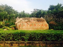 iphone_upload_pic-三亚亚龙湾人间天堂鸟巢度假村