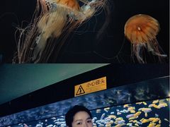 -成都浩海立方海洋公园