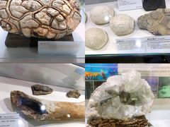 -中国第四纪冰川遗迹陈列馆