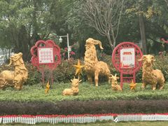 -海珠儿童公园