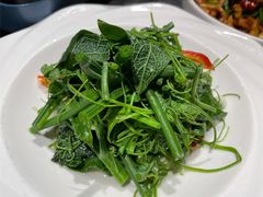 凉拌丝瓜尖-泉味道贵州厨房(三里河店)