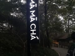 -MAMACHA妈妈茶(岳麓山店)