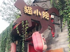 -猫小院猫主题咖啡厅(北锣店)