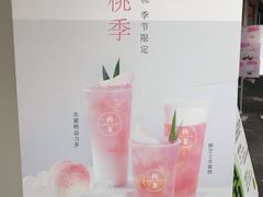 -树夏(建设路店)
