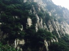 -嵩山少林文化旅游景区