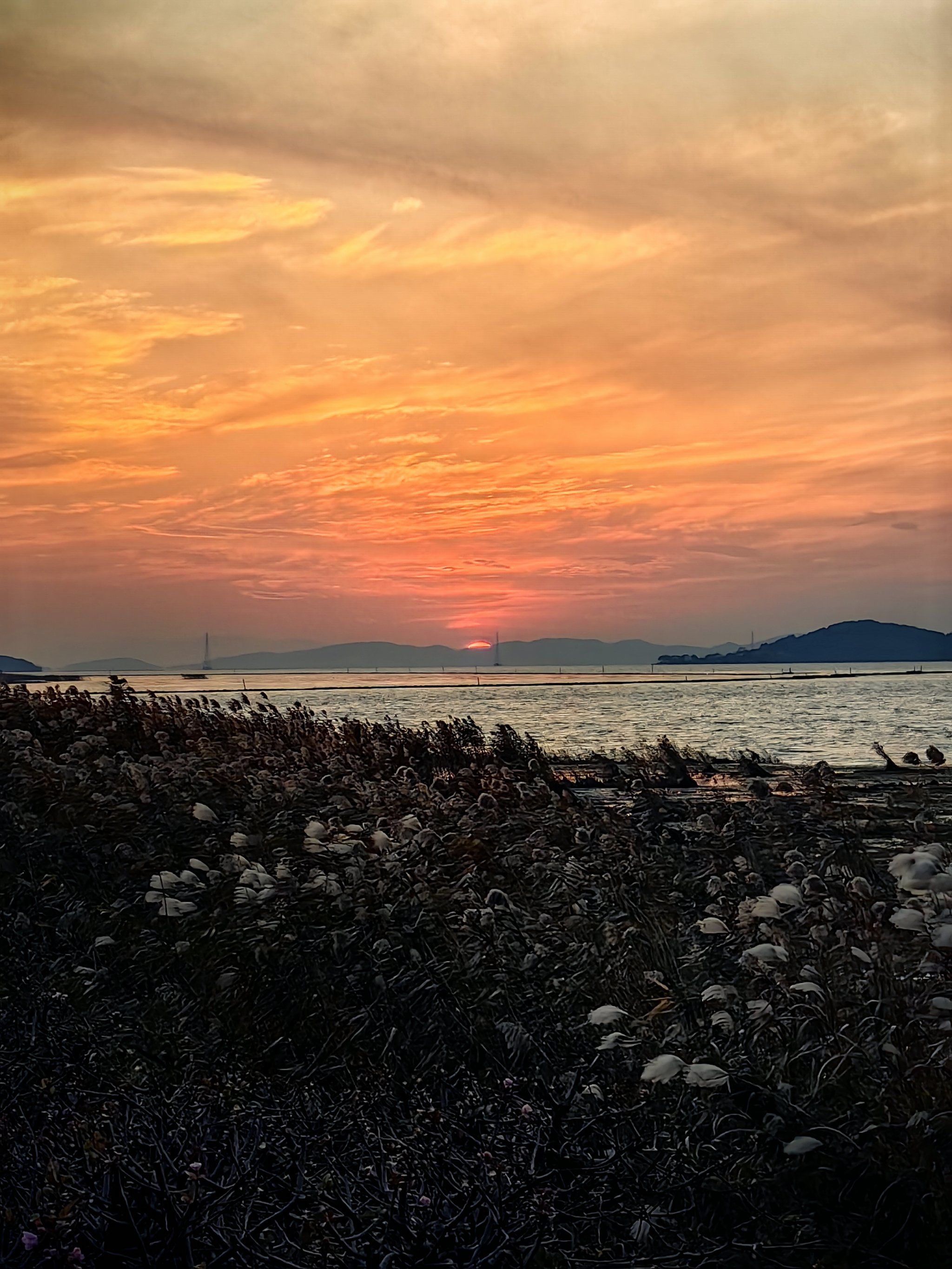 洞庭湖畔的东山苏面源面馆,早有耳闻这家面馆的味道在苏州也是名气好