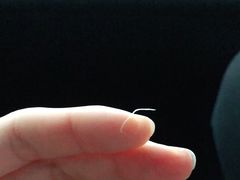 -古茗(义蓬购物中心店)